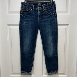 Silver Suki Skinny Crop Jeans